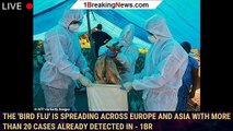 The 'bird flu' is spreading across Europe and Asia with more than 20 cases already detected in - 1br