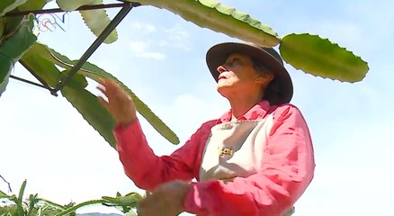 qn-emprendedora-151121