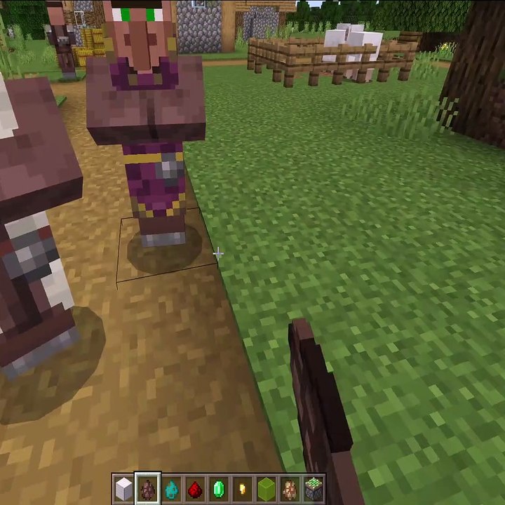 Did you know that if you show an emerald to a villager in Minecraft, they will show you the possible trade item