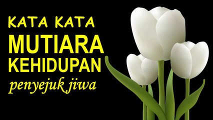 kata kata mutiara kehidupan PENYEJUK JIWA (1)
