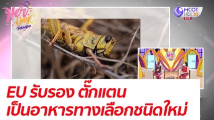 EU รับรอง ตั๊กแตน เป็นอาหารทางเลือกชนิดใหม่ โปรตีนสูง ปลอดภัย : Her Day วันของเธอ (15 พ.ย. 64)