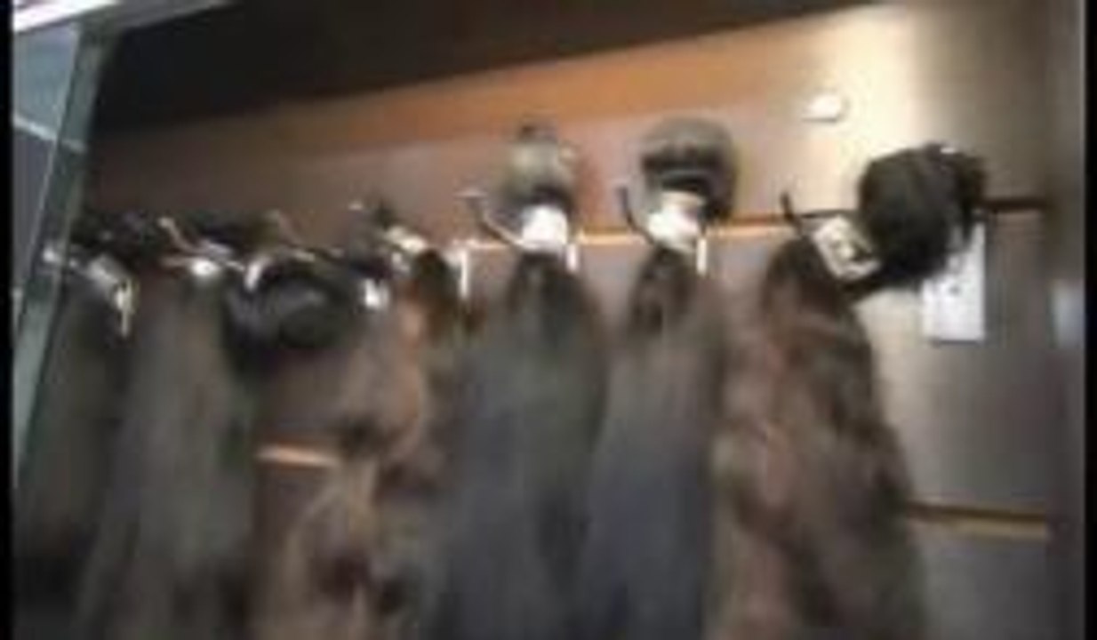 Contrabando de Cabello
