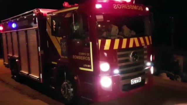 Cobra caninana de um metro é encontrada em residência em Cascavel