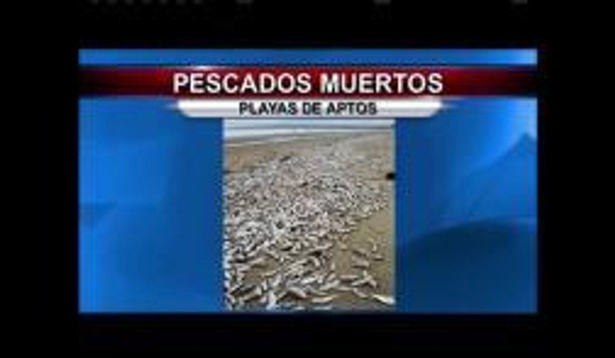 Misterio en el mar