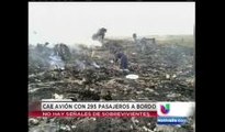 Cae avión de Malaysia Airlines con 295 pasajeros a bordo