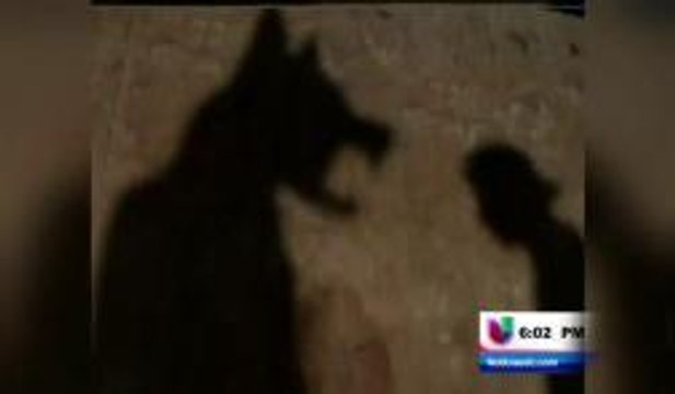 Lanzan campaña para prevenir la inmigración a los Estados Unidos