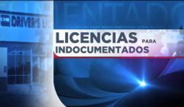 Inmigrantes con permisos legales temporales podrán obtener licencias