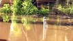 Evacuation efforts continuing as floods expected in NSW central west