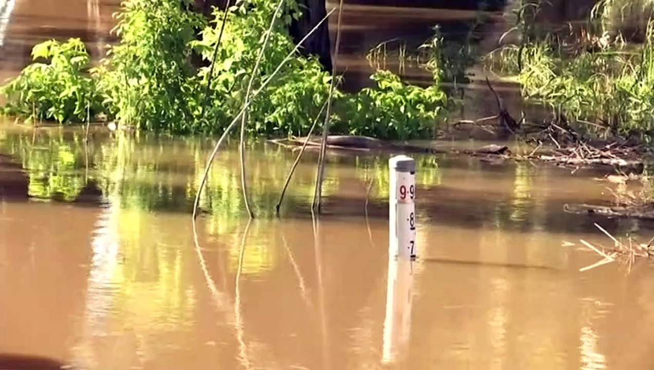 Evacuation efforts continuing as floods expected in NSW central west