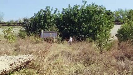 Acasa, My Home | Trailer 1