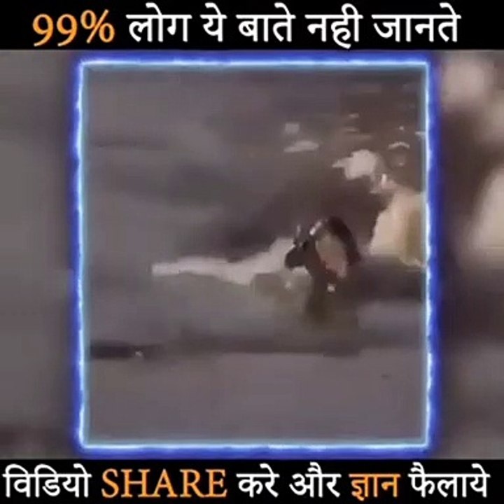 अपने ही बच्चे को जिन्दा मार देने बाला प्राणी A creature capable of killing its own child alive.#dailymotion #dailymotion channel
