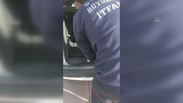 Son dakika haberleri: Kafası konserve kutusuna sıkışan kediyi itfaiye ekipleri kurtardı