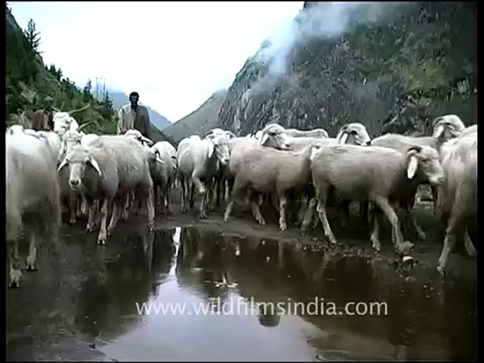 Nanda Devi _ The highest entirely within the country