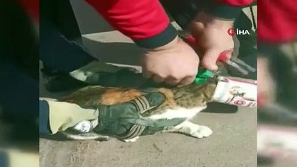 Kafasına konserve kutusu sıkışan kediyi itfaiye kurtardı