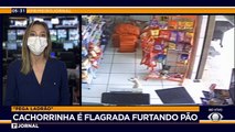 Câmeras de segurança registraram o momento em que uma cachorrinha furtou um saco de pão em Nova Esperança, no Paraná. Após farejar o pacote, ela abocanha o produto e sai correndo para a rua.