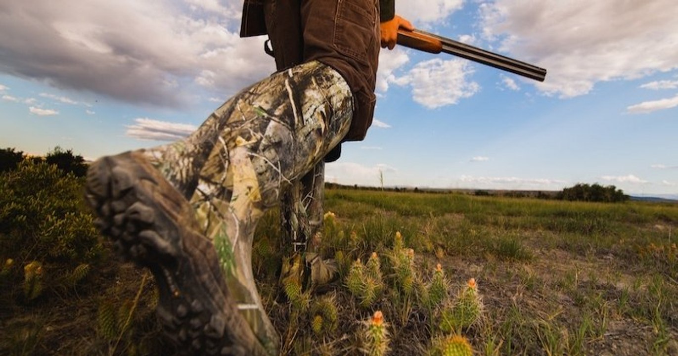 Chasse interdite dans une commune bretonne, suite au décès d'un automobiliste, tué par le tir d'un chasseur