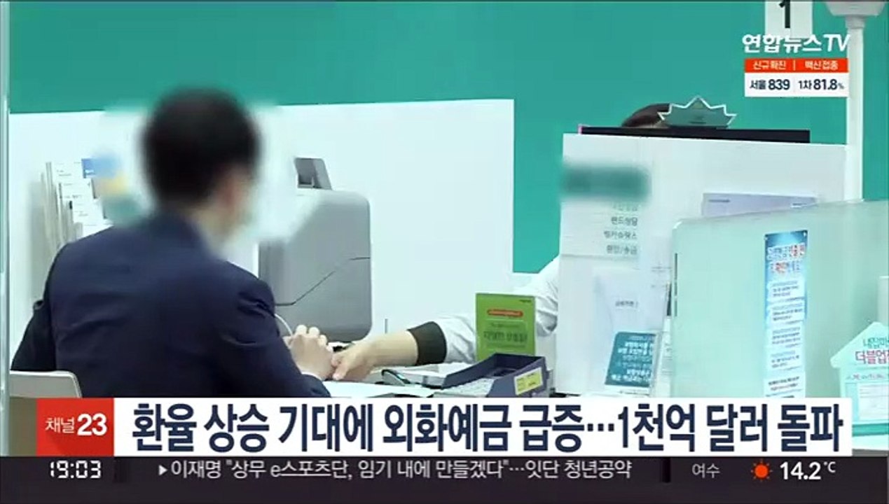 환율 상승 기대에 외화예금 급증…1천억 달러 돌파