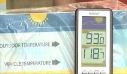 Recomendaciones ante las altas temperaturas que se registran en la Florida