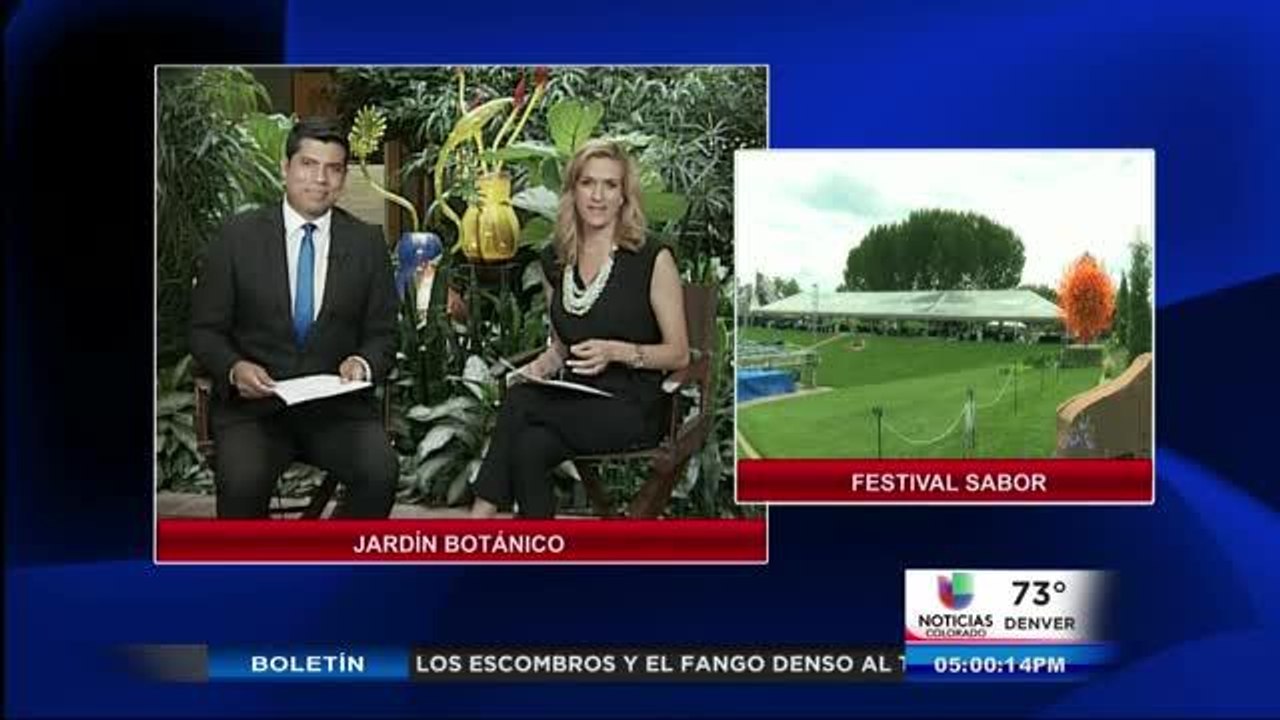 Festival Sabor 2014
