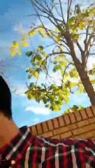 Lleva al niño al colegio