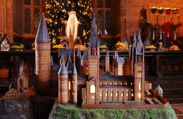 Hogwarts Cake unveiled to mark 20 years since first Harry Potter movie