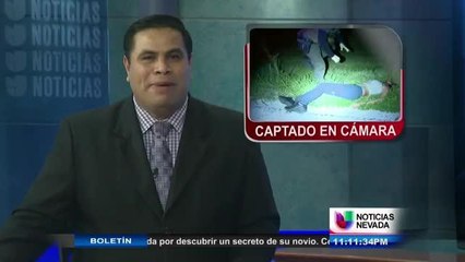 Coyote avienta a mujer