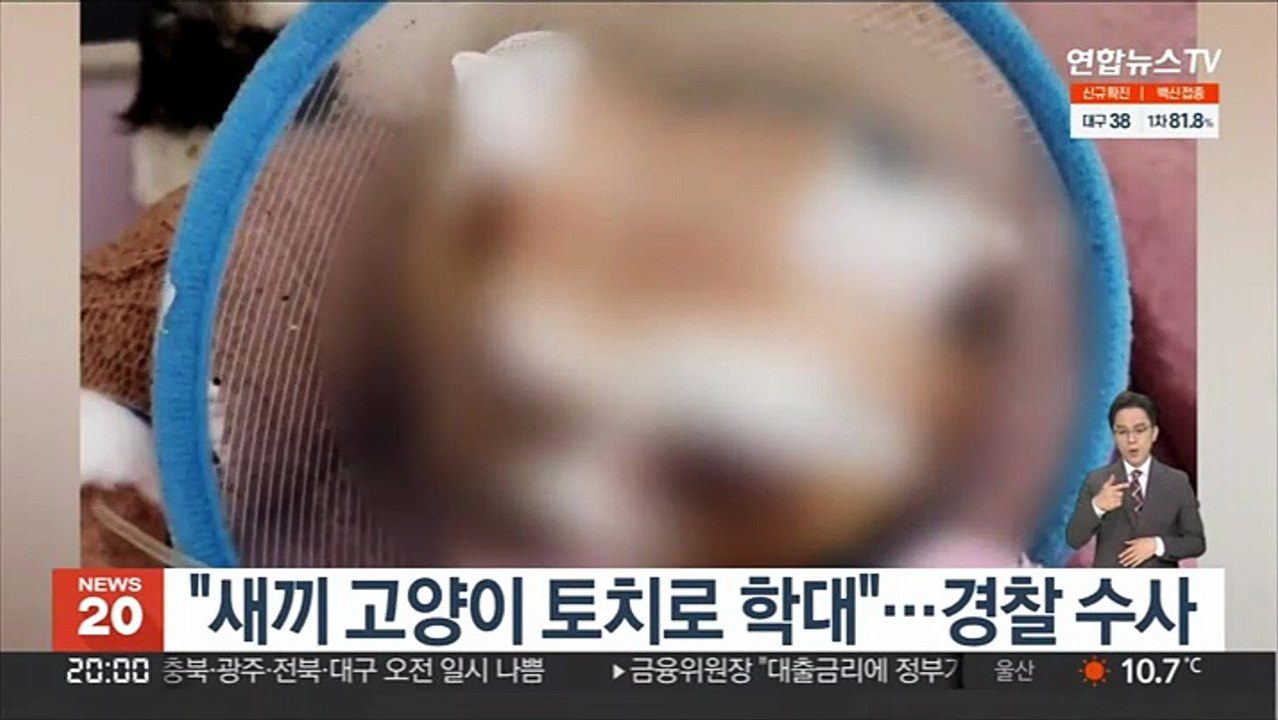 "새끼 고양이 토치로 학대"…경찰 수사