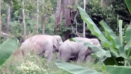 จันทบุรี