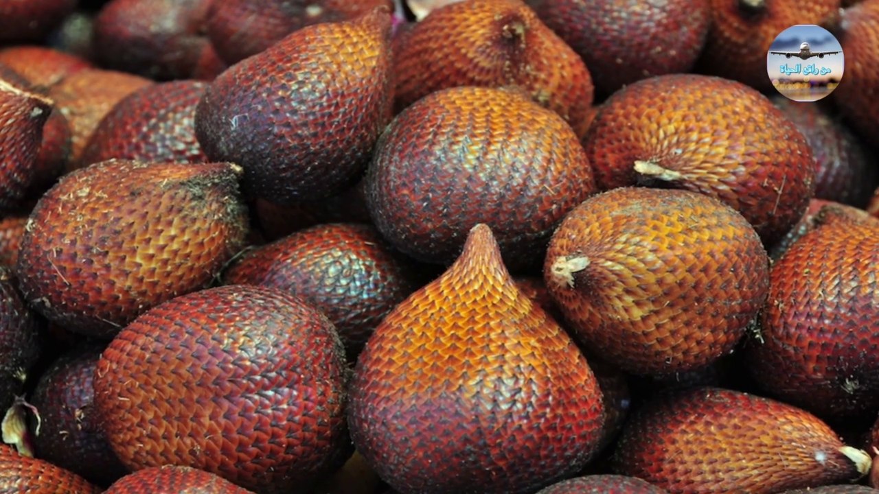 فاكهة الثعبان الغريبة للغاية / Very Exotic Snake Fruit