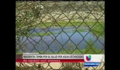 Agua estancada en Desert Hot Springs