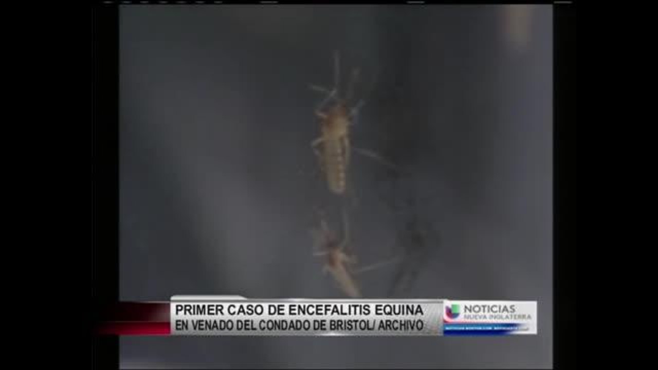 Precauciones