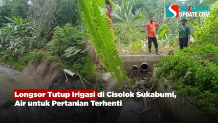 Longsor Tutup Irigasi di Cisolok Sukabumi, Air untuk Pertanian Terhenti