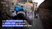 En Turquie, la ville de Mardin emploie des ânes pour ramasser les ordures