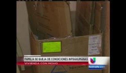 ¿Cómo solucionar el moho en tu vivienda en Cathedal? 🏠