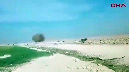 Aksaray'da çiftçi, köpeklerin saldırdığı eşeği böyle kurtardı