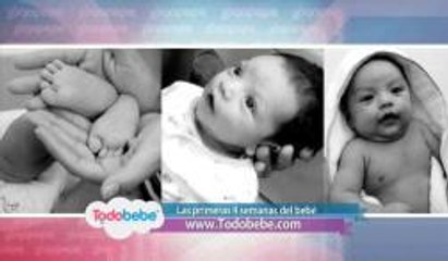 Todobebé: Las primeras 4 semanas de vida