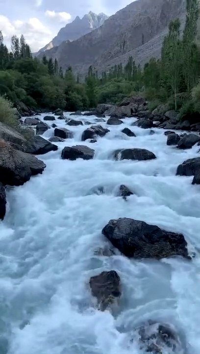 Nature is Life