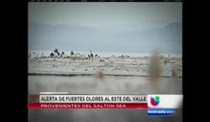 Fuerte olor en el Valle de Coachella