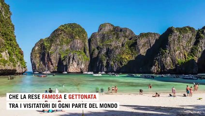 Thailandia, riapre la spiaggia del film "The Beach" con DiCaprio: era chiusa per salvare ecosistema