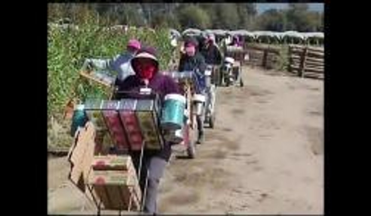 Invento en el agro