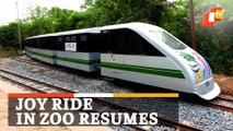 Joyride Train Services Resume In Nandankanan Zoological Park Resumes