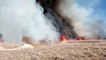 AFYONKARAHİSAR - Eber Gölü çevresindeki sazlık alanda yangın çıktı