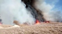 AFYONKARAHİSAR - Eber Gölü çevresindeki sazlık alanda yangın çıktı