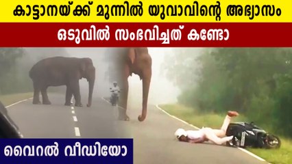 കാട്ടാനയ്ക്ക് മുമ്പിലാ അവന്റെ അഭ്യാസം, ഒടുക്കം പണകിട്ടി | Oneindia Malayalam