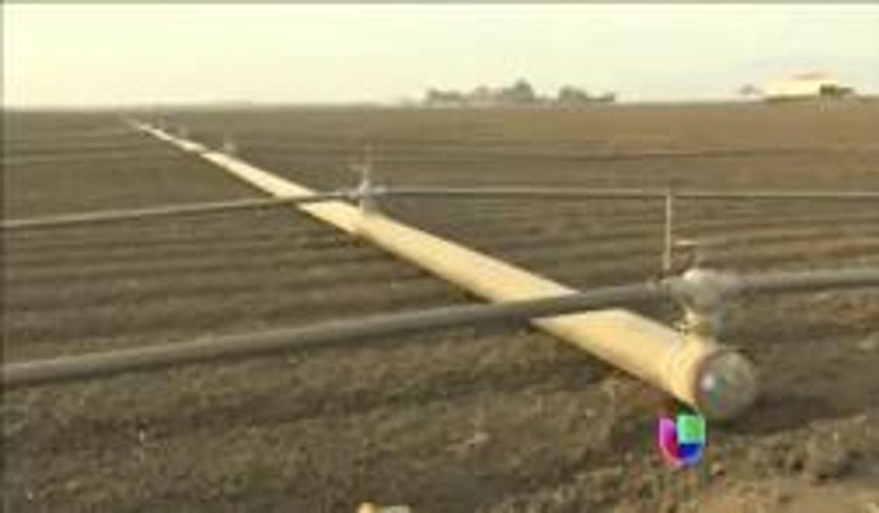 Sequía en California afecta productos alimenticios