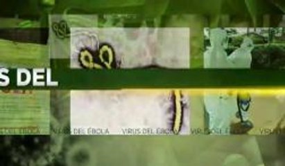 Llega el cuarto paciente de ébola al país