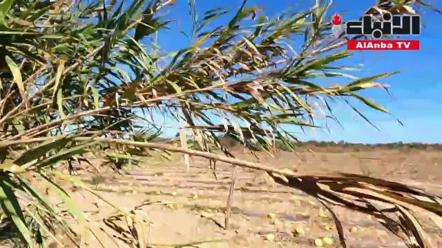 أحد أكبر أنهار المغرب عاجز عن بلوغ مصبه بسبب الجفاف