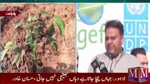 Information Minister Fawad Chaudhry Address The Ceremony _ Pakistan Top News _  M News _ Pakistan