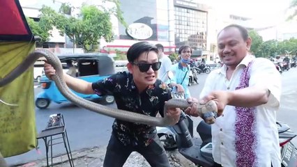 KING KOBRA PANGGANG KAKI LIMA. DAGINGNYA MANIS, TARINGNYA EMPUK.