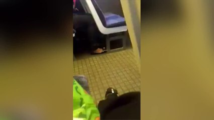 Shocking comments made at black woman on train